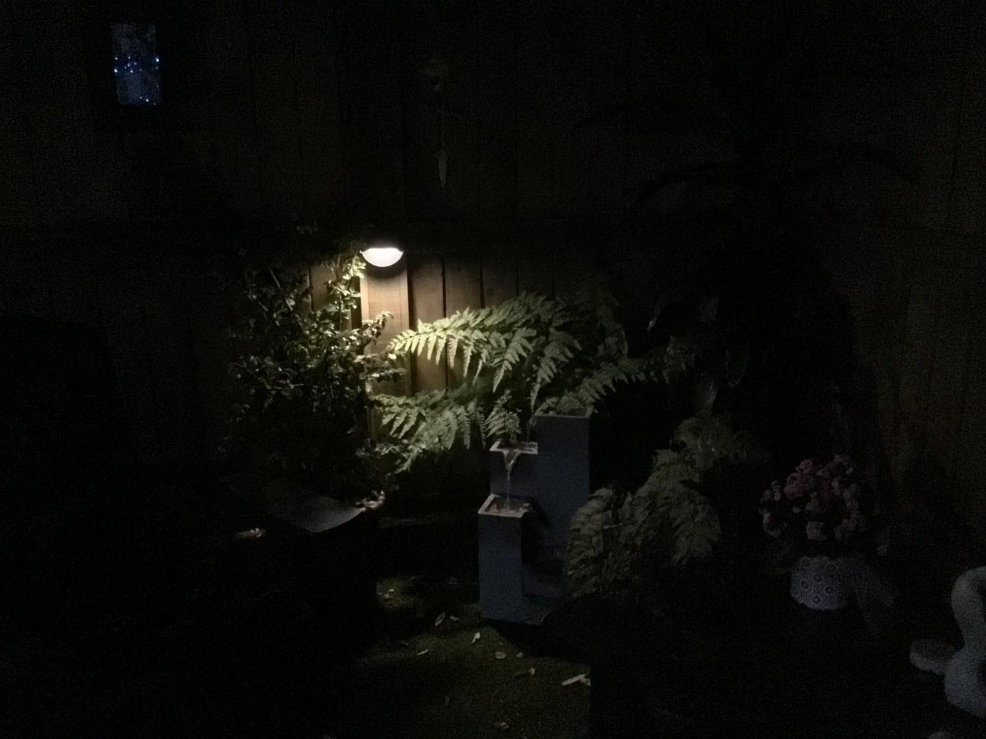 Tranquil Garden Studio 陶朗加 外观 照片